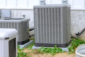 Untitled design - 2025-11-19T174514.853